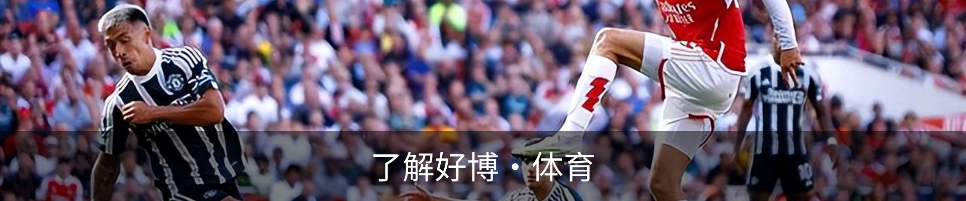 了解好博·体育