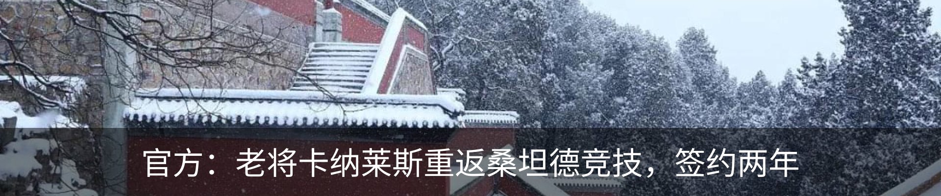 新闻动态